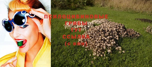 ПСИЛОЦИБИНОВЫЕ ГРИБЫ Алексеевка