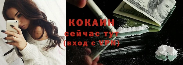 СК Алексин