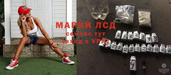 СК Алексин