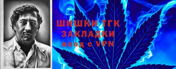 СК Алексин